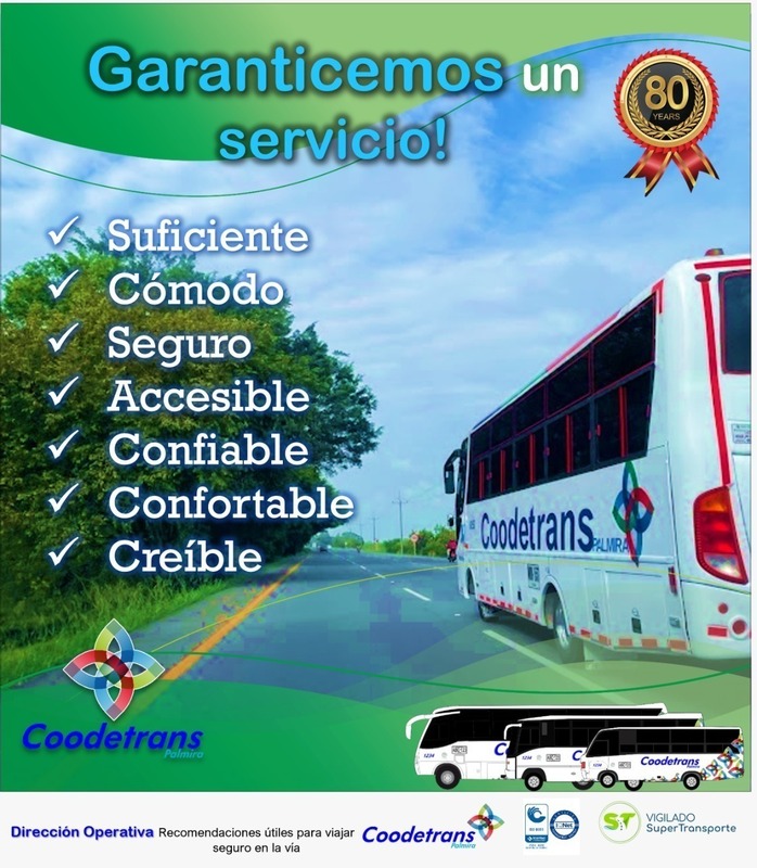 Imagen 6